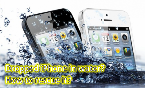 iPhone Home Button Not Working or Unresponsive? Let's Fix It iphone 4 fell in water home button not working