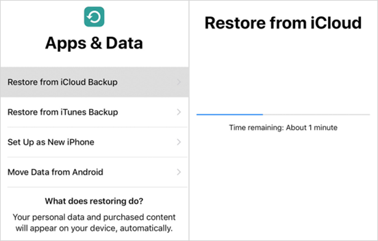 Recover iPhone/iPad Data after Factory Settings Restore