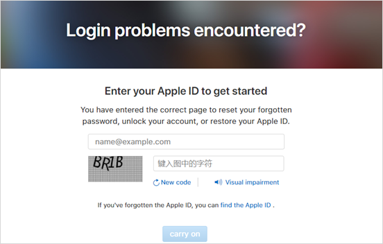 Apple ID Password Reset