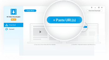 Paste video URLs into the program