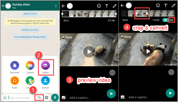 Convert GIF from Video with WhatsApp
