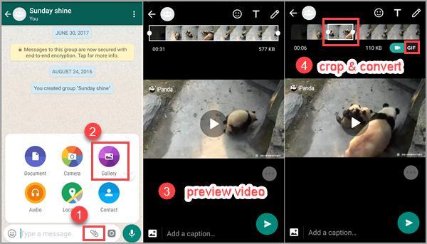 WhatsApp - How to send GIFs and convert video to GIF within the app