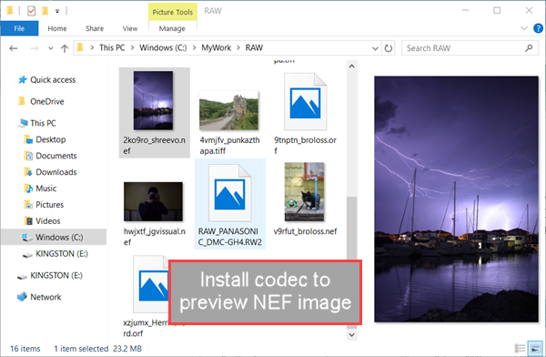 View RAW Images on Windows 10 with Codec for Specific Camera