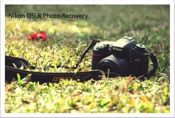 Nikon DSLR (JPEG and NEF) Photo Recovery Software