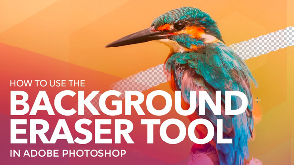 Use Background Eraser Tool to Remove Background in Photoshop