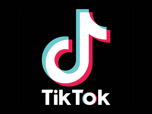 What Is the TikTok App.