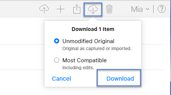 How to Download Photos from the iCloud