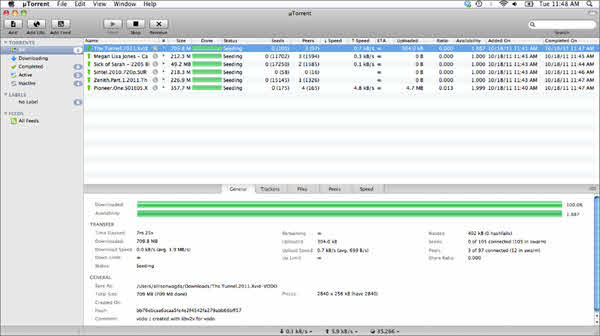 Using uTorrent to download torrents files.