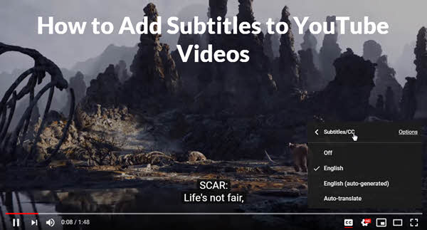 Add Subtitle to YouTube Video