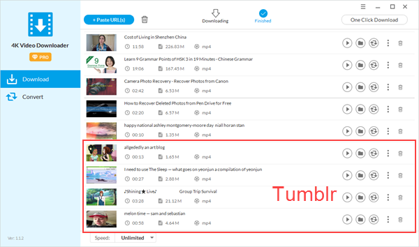 Tumblr video downloader.