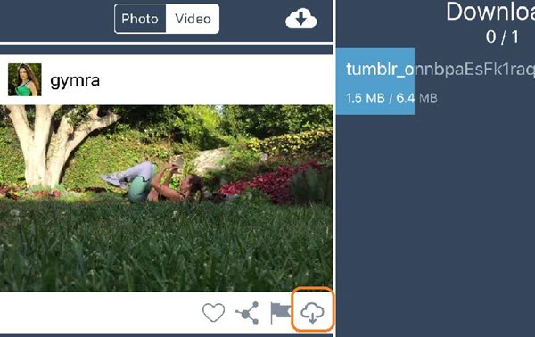 Save Tumblr Video on iPhone