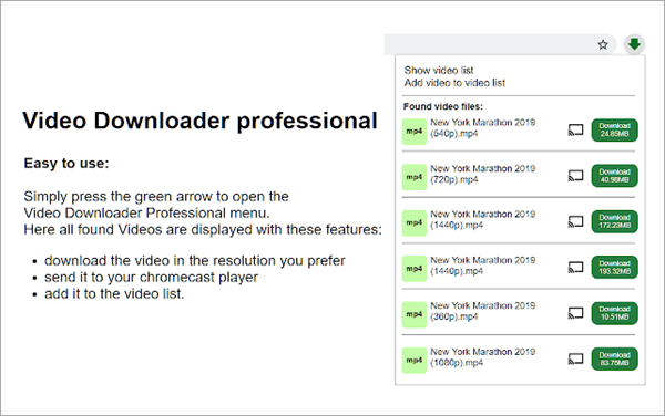 Video Downloader Professional to download videos from Any website.