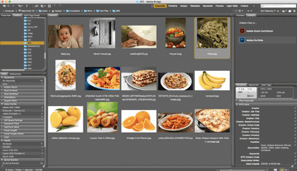 Another one of the best photo organizing software for Mac users is Adobe Bridge.