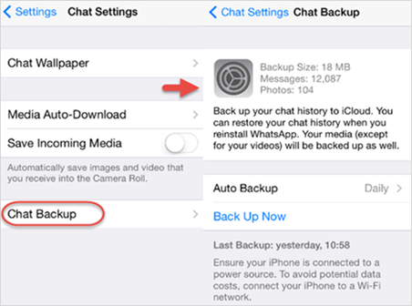 Backup WhatsApp messages on iPhone