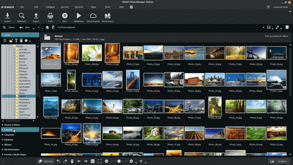 I would like to present at first in this list of the best Windows 10 picture manager software is Magix Photo Manager.