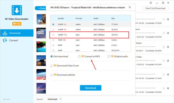 Using Jihosoft 4K Video Downloader to convert WebM to MP4 or MP3.