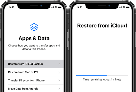 Recover Deleted Notes on iPhone without Computer