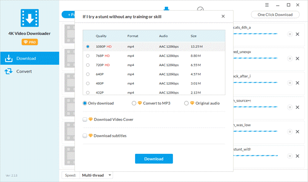 Choose which file format ( 1080P HD, 1440P 2K, 2160P 4K, MP3, etc) to download.