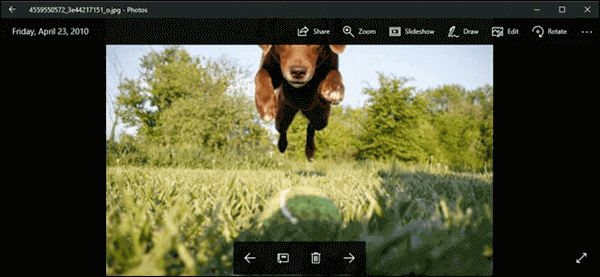 How to crop a picture in Windows 10?