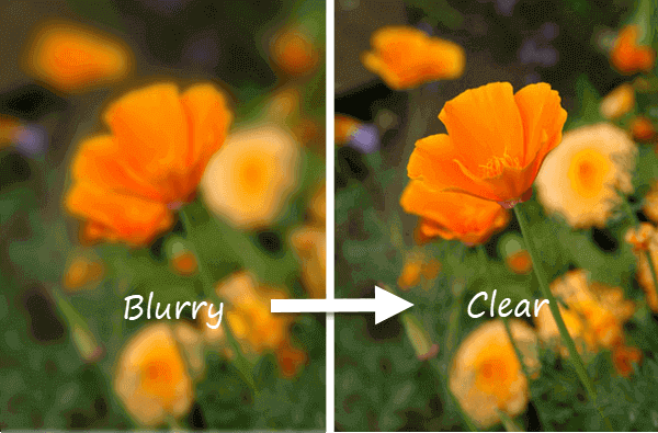 How to Fix Blurry Pictures