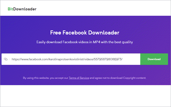 BitDownloader is truly the best online FB video downloader in the market.