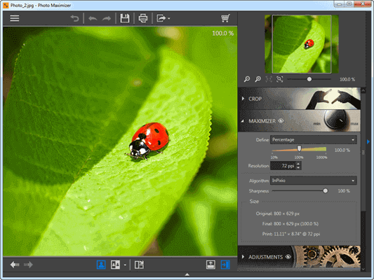 Increase Photo Resolution With Fotophire Maximizer