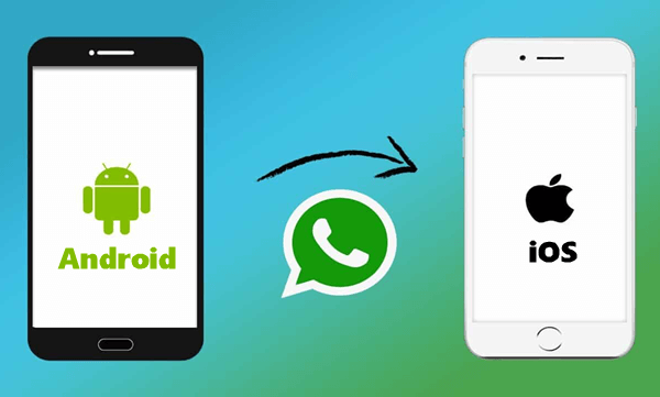 Transfer WhatsApp Messages.