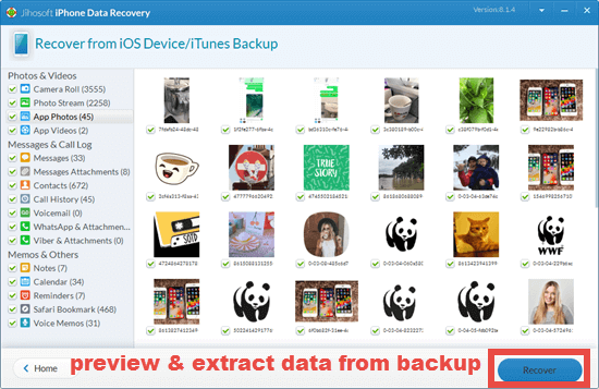 Extract data from backup selectively