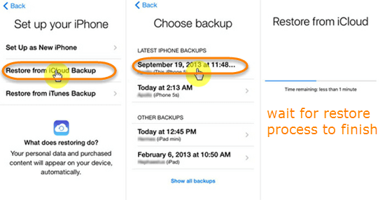 Retrieve Data from iPhone Backup File in iCloud