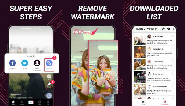 Use Video Downloader for TikTok on Android.
