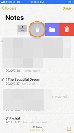 Lock and Hide Text Messages in Notes App