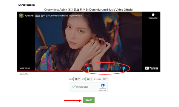 Use YT Cropper to Download Part of YouTube Video