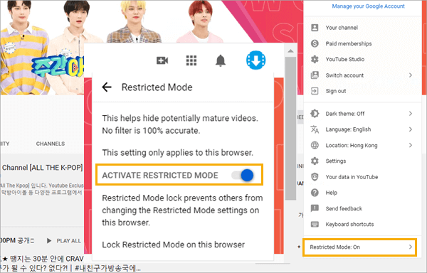 Disable the Restricted Mode to Watch Age-Restricted YouTube Videos