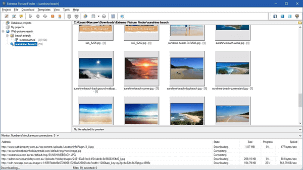 Extreme Picture finder not only allows you to download bulk images from many sites