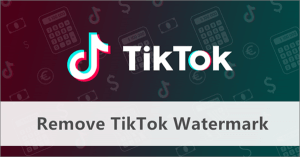tiktokwatermark remover